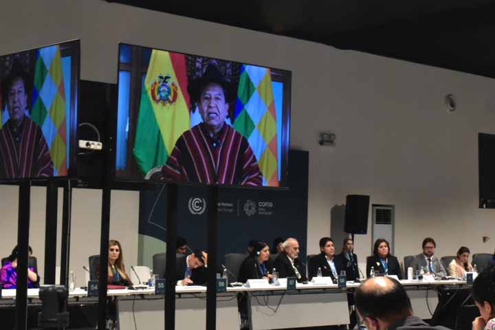 COP29: Bolivia propone un Mecanismo Conjunto Regional Amazónico para proteger los bosques y apoyar a los pueblos indígenas