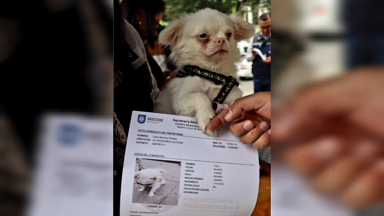 Sacaba lanza el Registro Único de Mascotas y prepara campaña de esterilización canina y felina este fin de semana