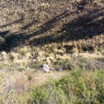 IMG-20260703-WA0025