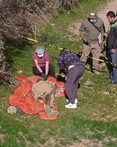 Fallece un teniente del Ejército durante la clausura de un curso de paracaidismo