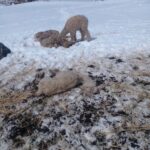 IMG-20260819-WA0078