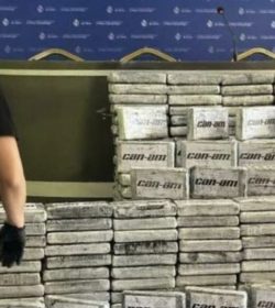 Uruguay decomisa 433 kg de cocaína boliviana