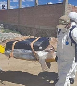 En Oruro encontraron a colombiano muerto dentro de una maleta.