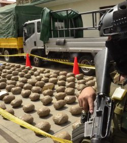 En 2023, Bolivia incautó 32,93 toneladas de cocaína y 372 toneladas de marihuana.
